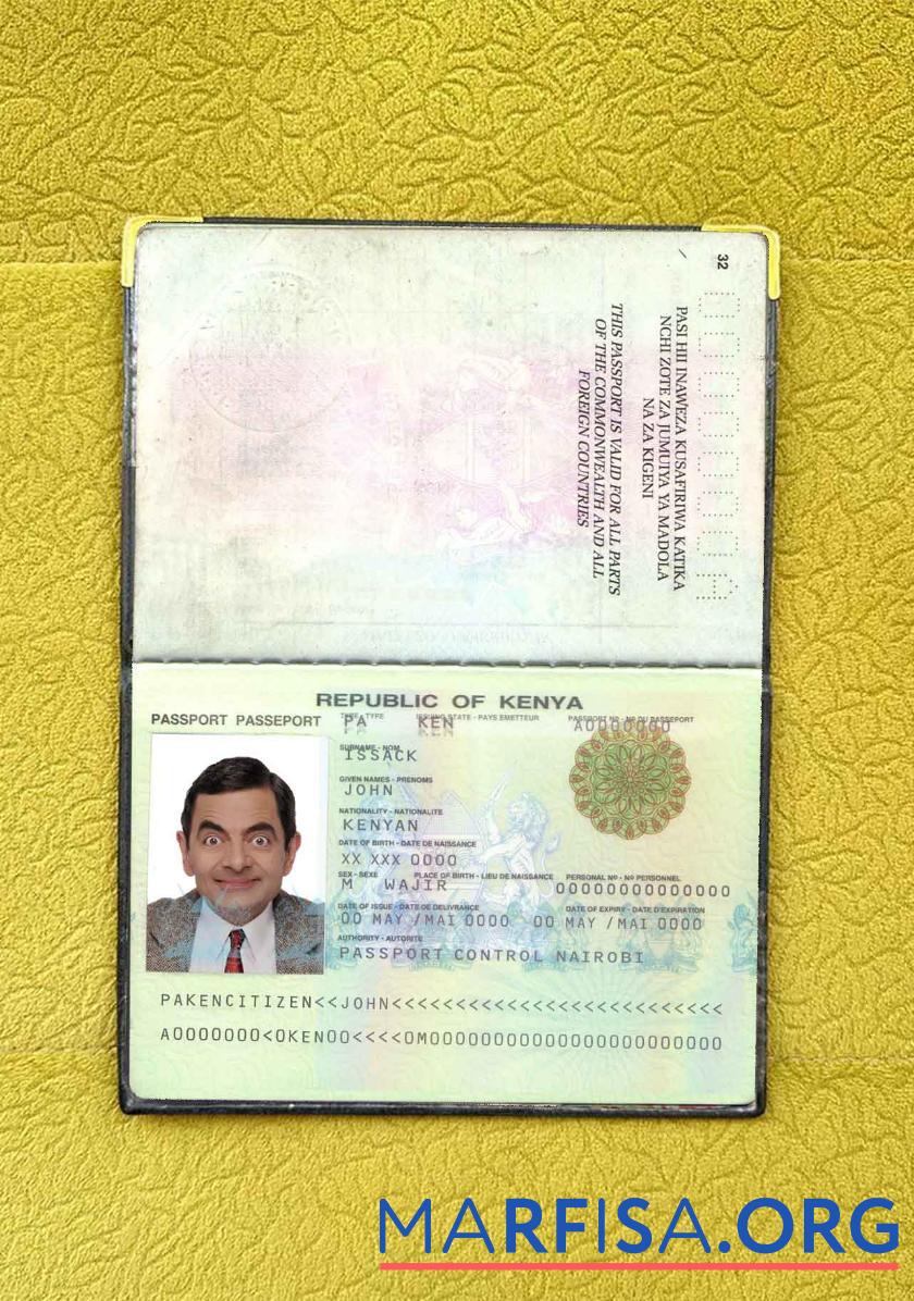 Printable Kenya passport (2011 2019) photo look download for verification